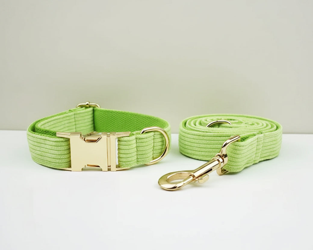 Apple green corduroy harness and leash set with gold-tone hardware
