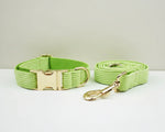 Apple green corduroy harness and leash set with gold-tone hardware