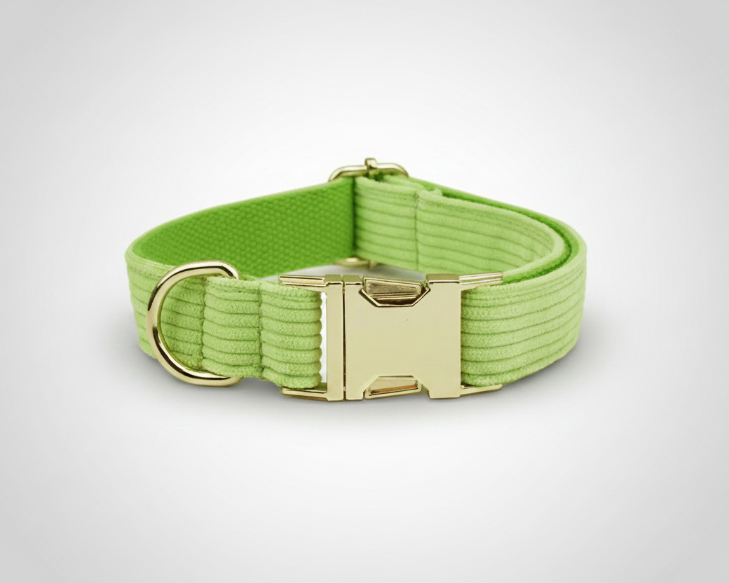 Apple green corduroy dog collar with gold-tone buckle and D-ring