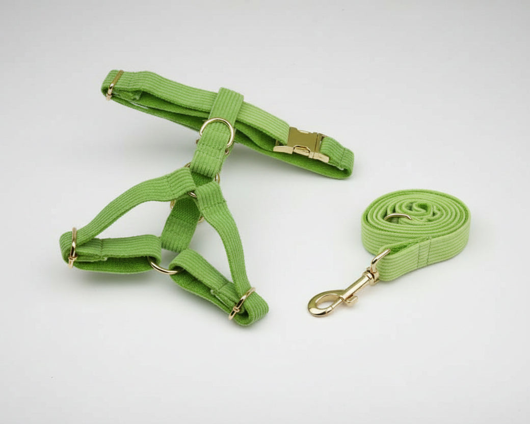 Apple green corduroy harness with adjustable straps and matching leash