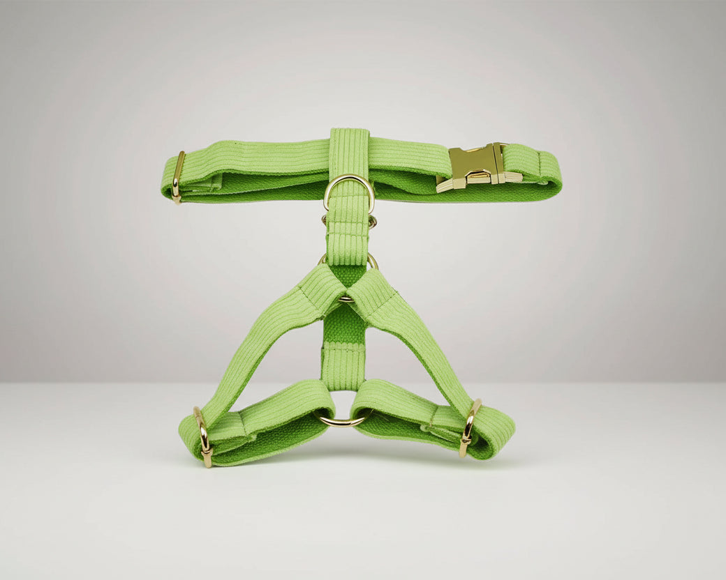 Apple green corduroy harness set with bow tie and multiple gold clips