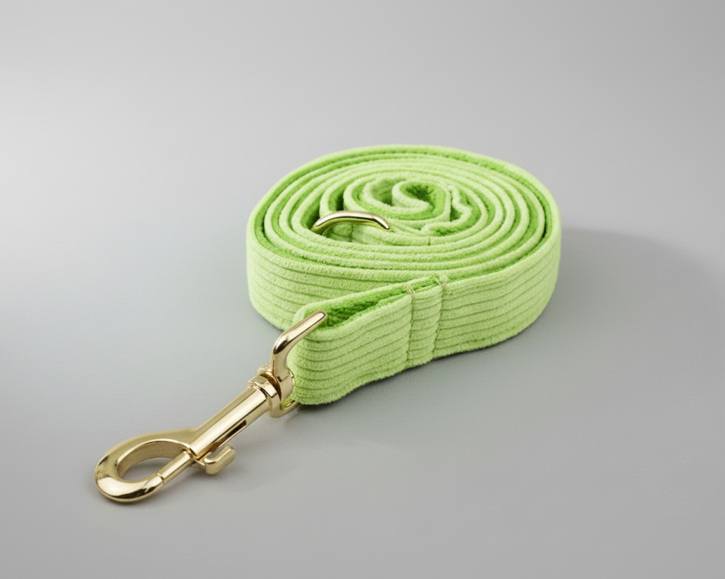 Apple green corduroy leash with gold-tone clip and swivel hook