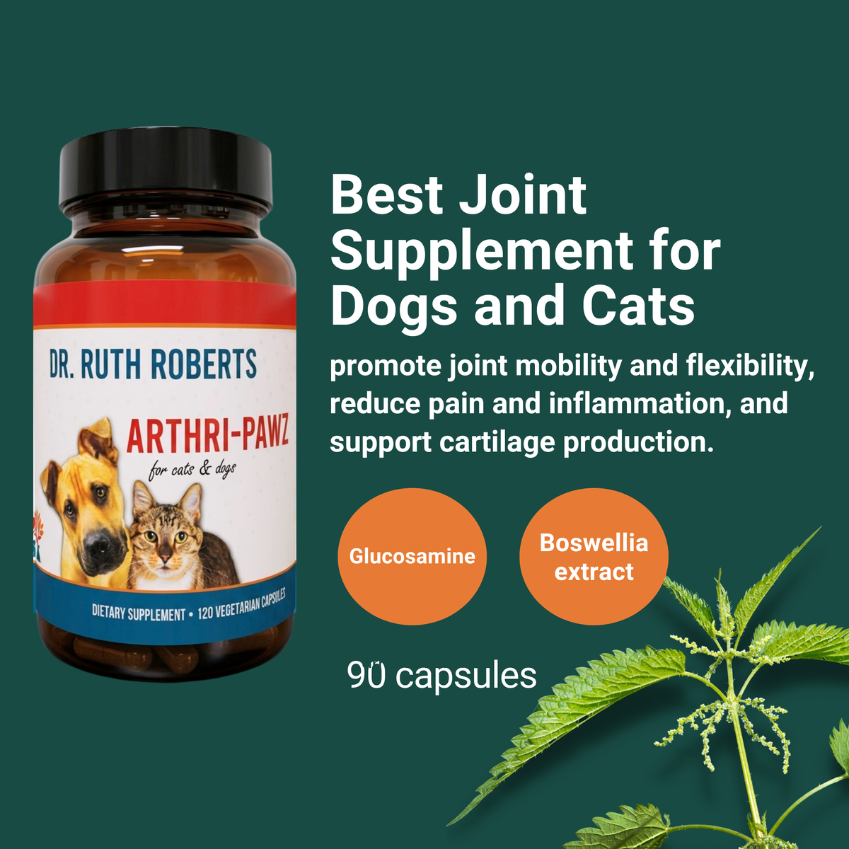 Joint supplement bottle with 90 capsules graphic and ingredient circles