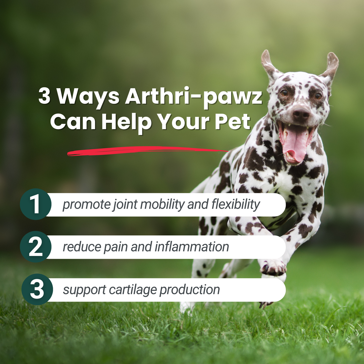 Dog running with joint-support infographic showing three benefit callouts
