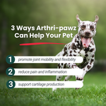 Dog running with joint-support infographic showing three benefit callouts