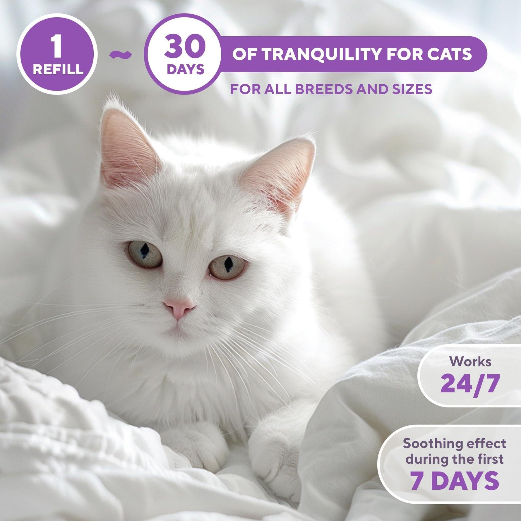White cat with 24/7 graphic showing calming diffuser refill lasts up to 30 days