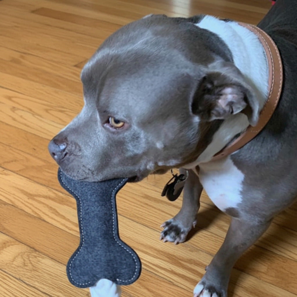 Dark blue-gray felt knot bone dog toy with rope ends
