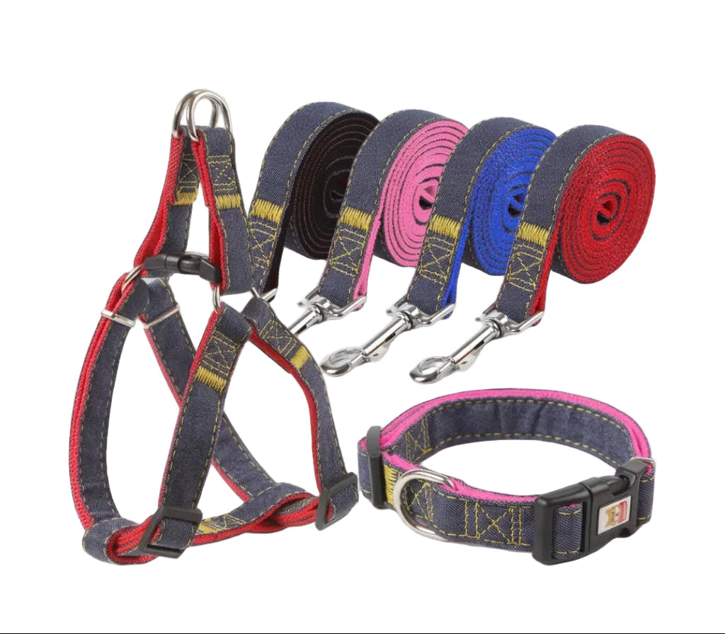 Denim dog harness and leash set with metal buckles, multi-color stitched straps