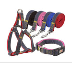 Denim dog harness and leash set with metal buckles, multi-color stitched straps