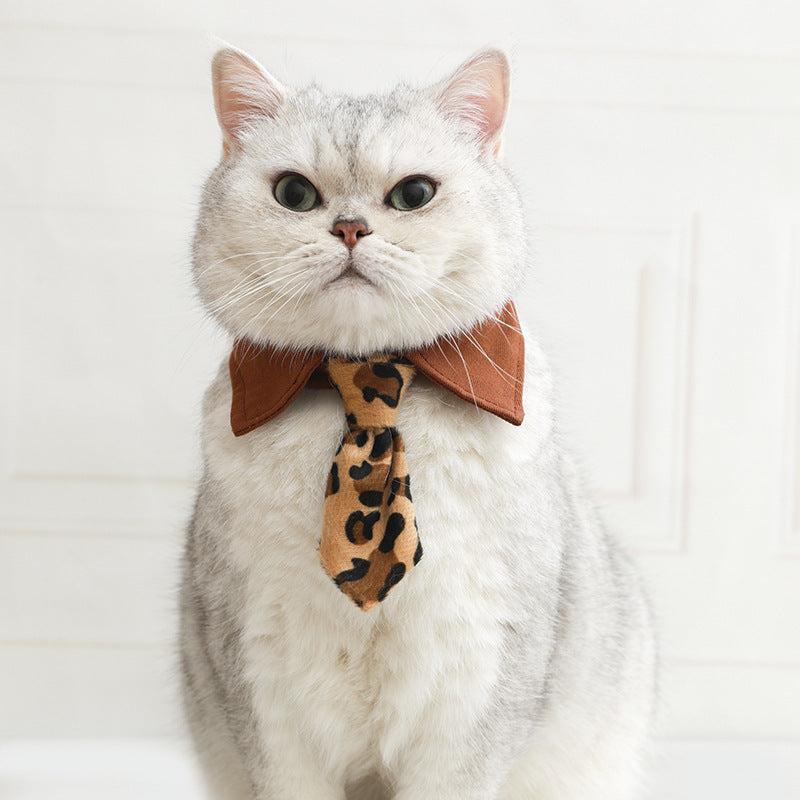 Cat collar with brown bow and leopard-print patterned tie