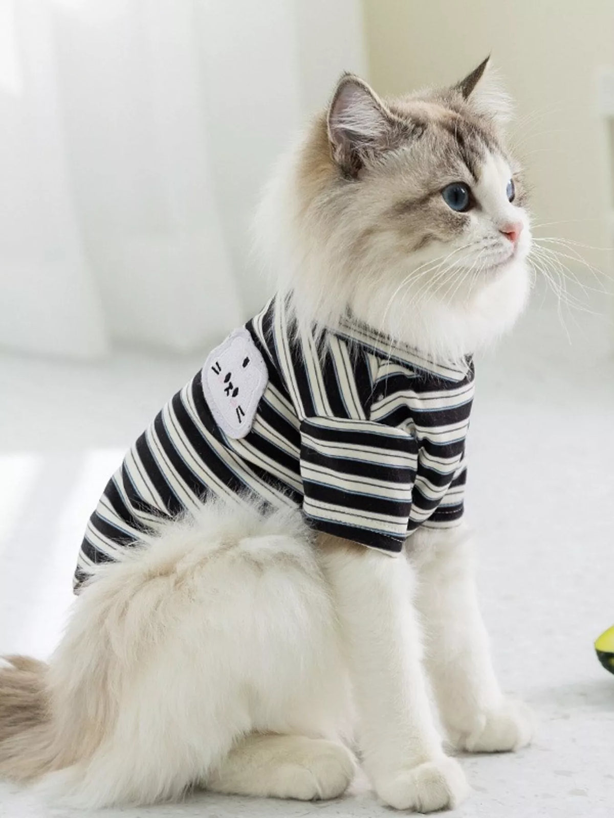 Black-and-white striped plush pet sweater with bear patch and short sleeves