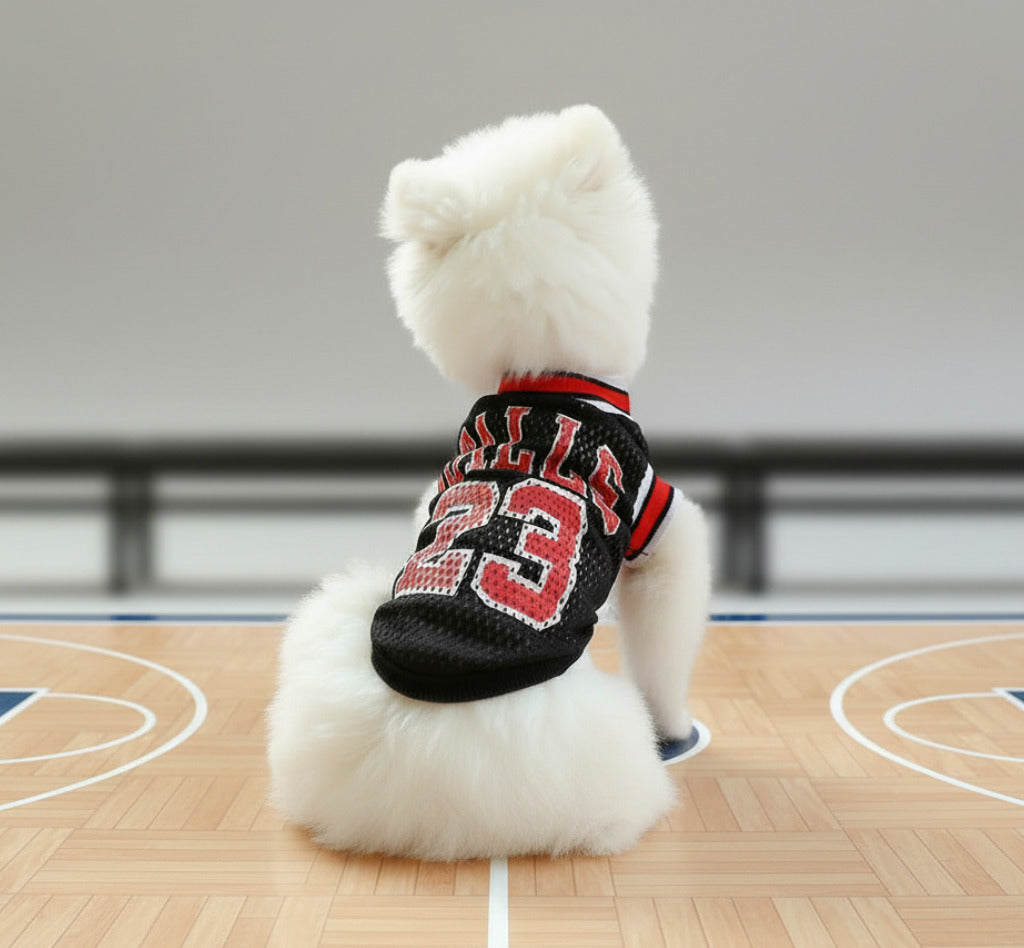 Black dog vest with 'BALLS 23' front number and striped ribbed collar