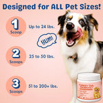 Pet supplement powder jar with white lid shown with dog for serving scoops