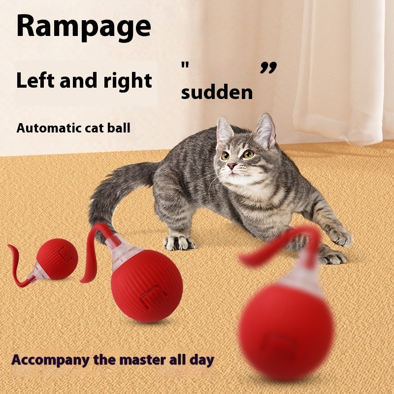 Red automatic cat ball toy with clear window and curved red rope launcher cord