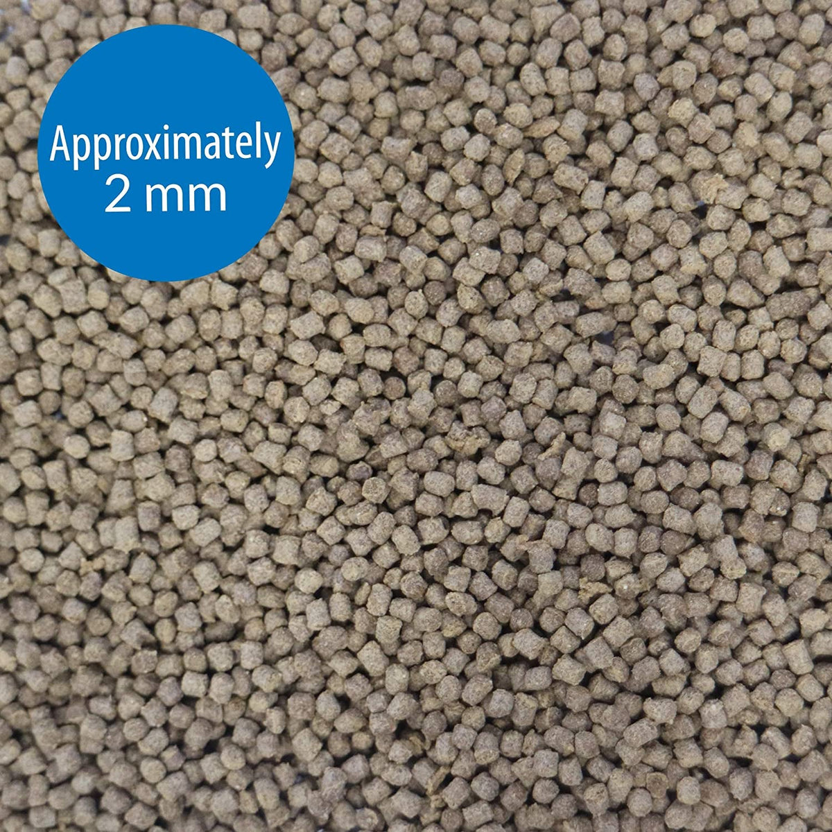 Small round sinking fish food pellets, approx 2 mm granules