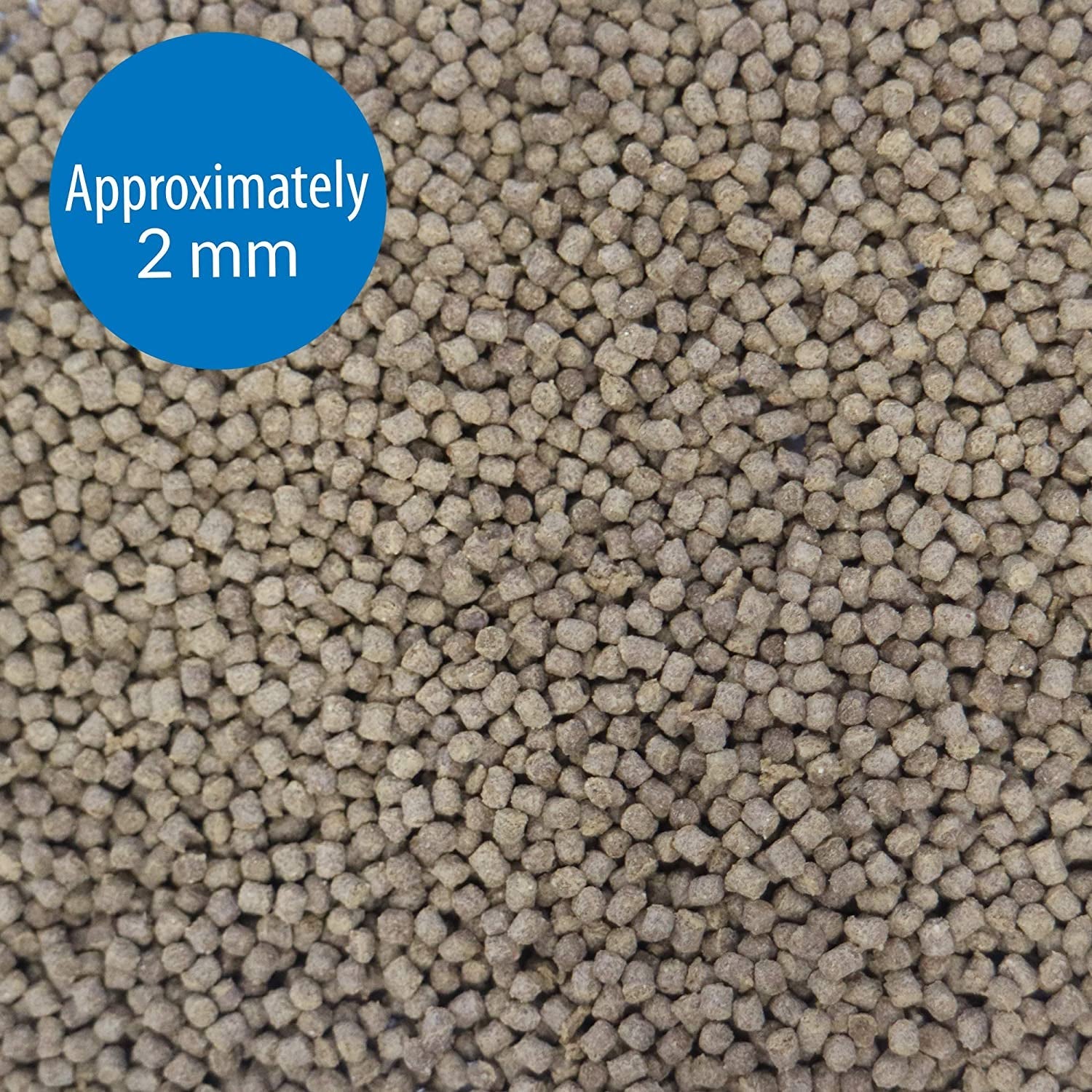 Small round sinking fish food pellets, approx 2 mm granules