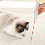 Hand holding white pet nail polishing tool with red guide line