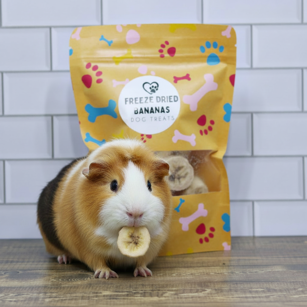 Freeze-dried banana dog treat pouch with treats visible through the front