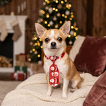 Pet Christmas necktie in red and white with round decorative print, tied neatly.