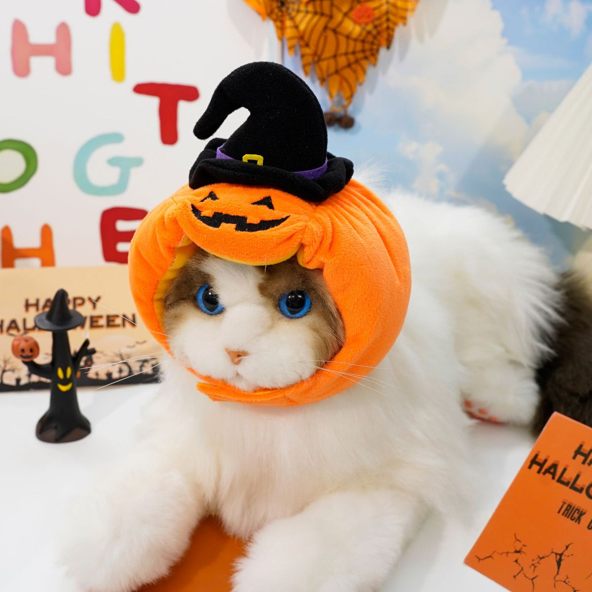 Halloween pumpkin pet costume with black witch hat, orange plush pumpkin hood and green collar