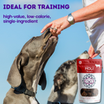 Freeze-dried beef liver dog treats pouch held near a reaching dog during training