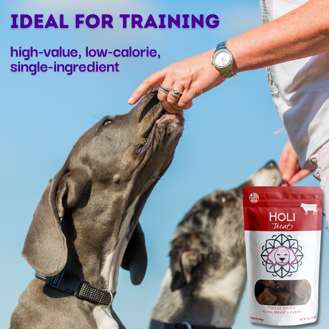 Freeze-dried beef liver dog treats pouch held near a reaching dog during training