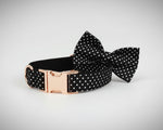 Black polka-dot collar with detachable bowtie and rose-gold metal buckle