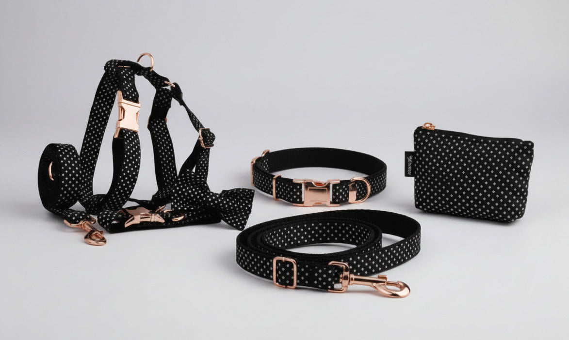 Black polka dot set: collar and leash with rose-gold buckles plus small pouch