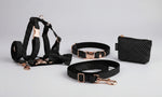Black polka dot set: collar and leash with rose-gold buckles plus small pouch