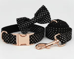 Black polka dot bowtie collar with rose-gold hardware and matching leash