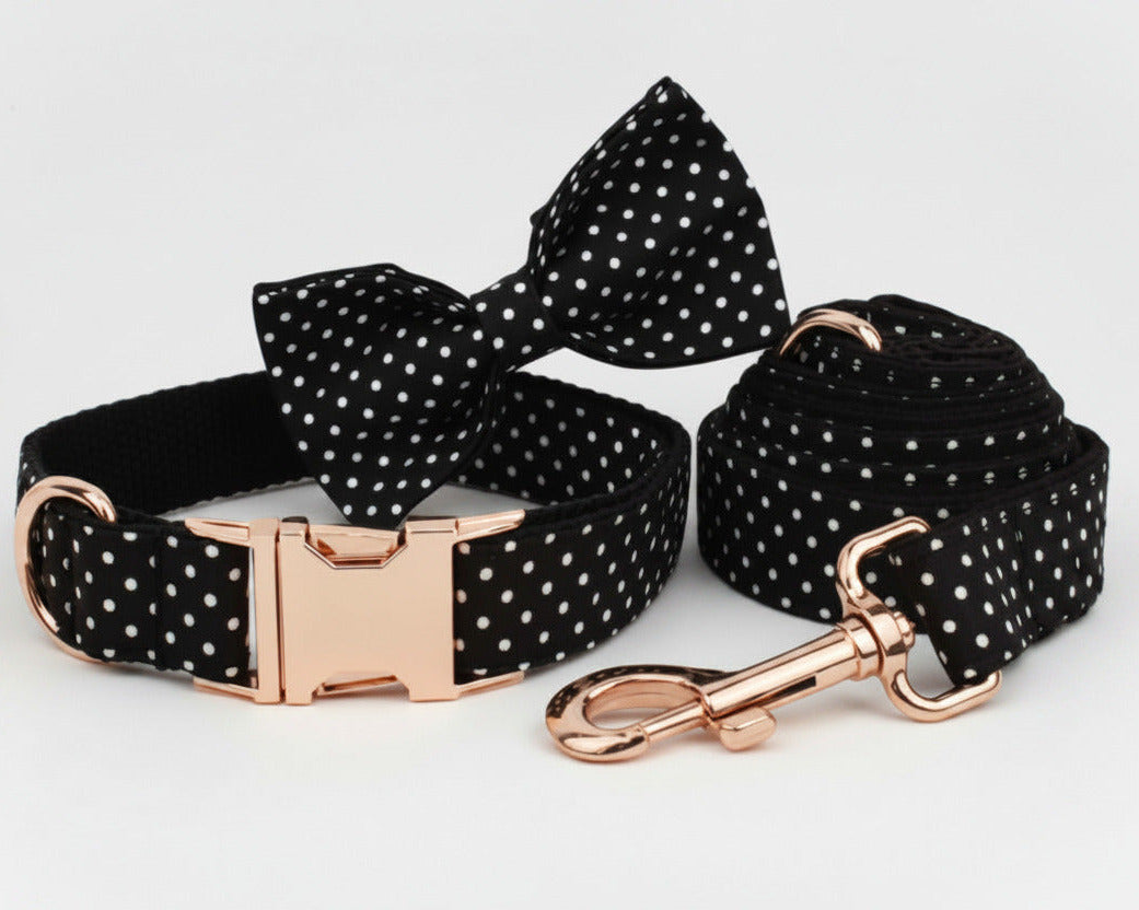 Black polka dot bowtie collar with rose-gold hardware and matching leash