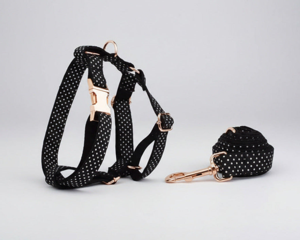 Black polka dot harness with rose-gold hardware, paired with leash