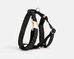 Black polka-dot harness with matching leash; rose-gold rings and buckles