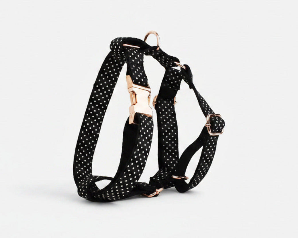 Black polka-dot harness with matching leash; rose-gold rings and buckles