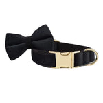 Black velvet dog bowtie collar with gold buckle and ring hardware