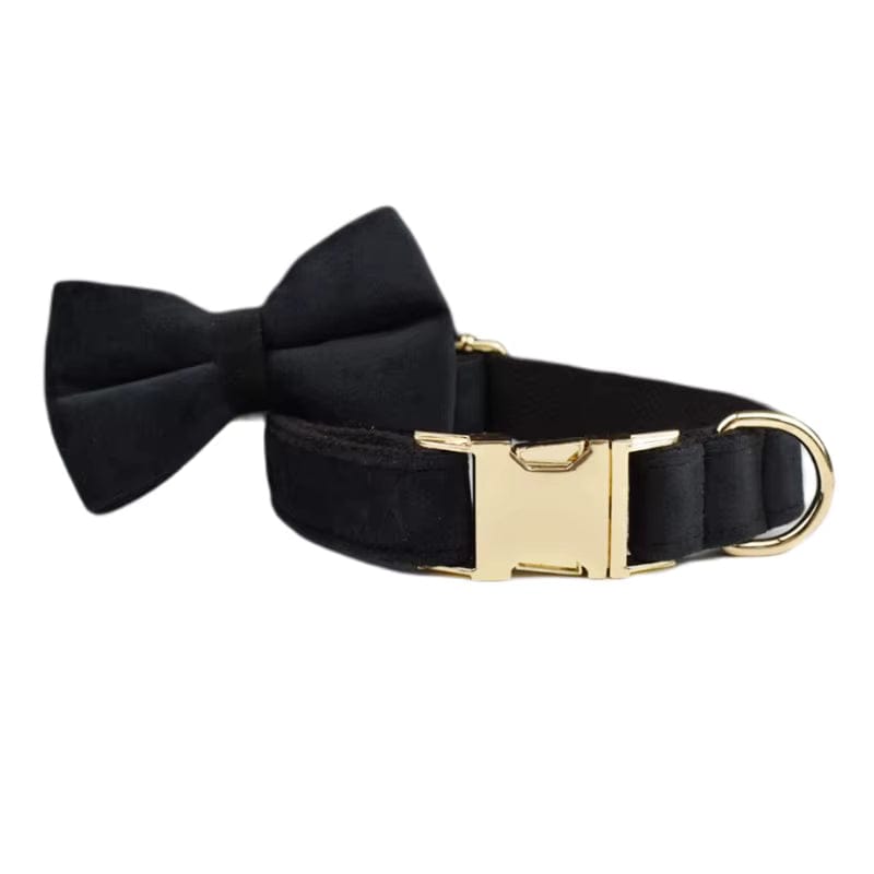 Black velvet dog bowtie collar with gold buckle and ring hardware