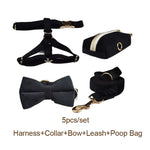 Black velvet set with dog harness, collar, bow tie, leash, and poop bag holder