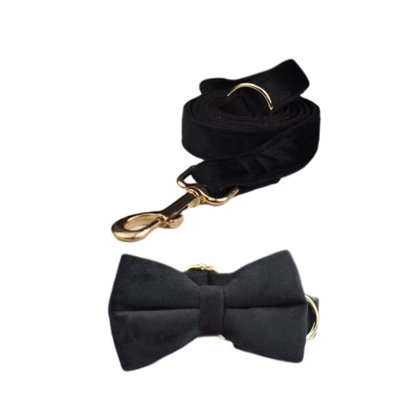 Black velvet dog leash with gold hook clip and matching bow tie