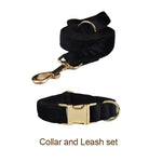 Black velvet dog collar and matching leash with gold clasp and D-ring