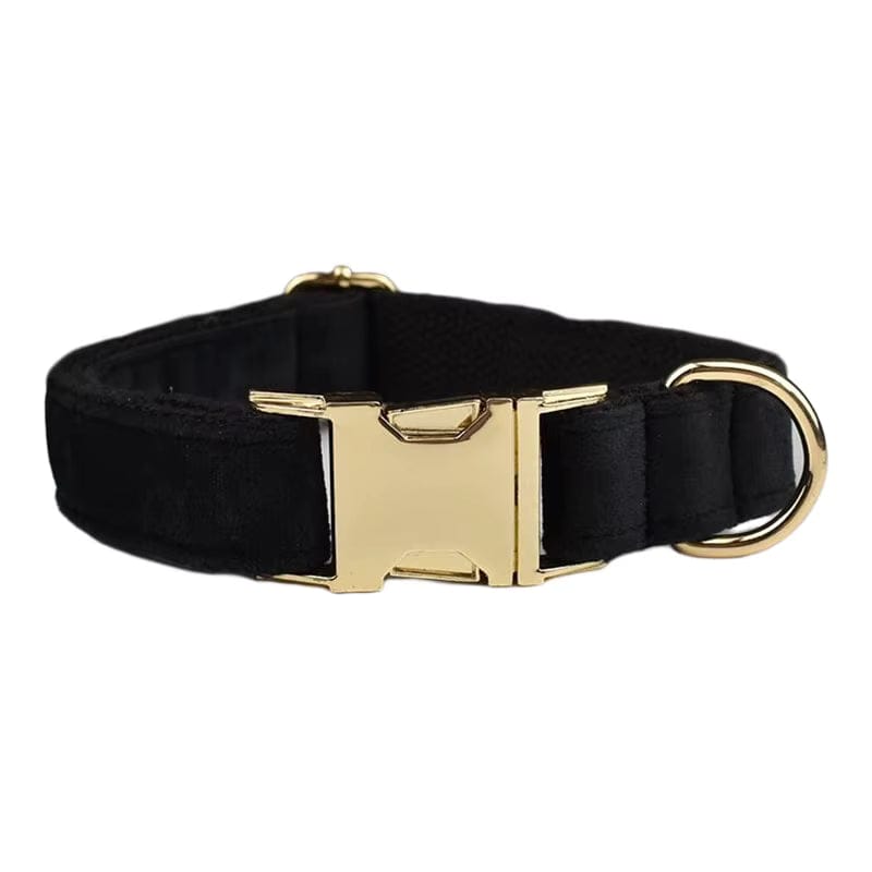 Black velvet dog collar with gold clasp and D-ring buckle