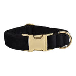 Black velvet dog collar with gold clasp and D-ring buckle