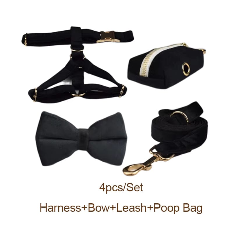 Black velvet harness, bow tie, leash, and poop bag holder with gold hardware