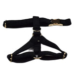 Black velvet dog harness with gold hardware and front strap rings