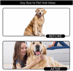 Pet grooming glove in use while brushing a dog with the groomer’s hand