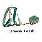 Floral teal dog harness set with gold buckles and matching leash strap