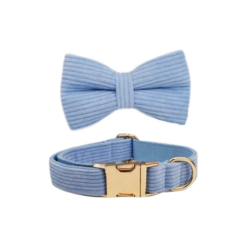 Light blue corduroy dog collar with matching bowtie and gold hardware