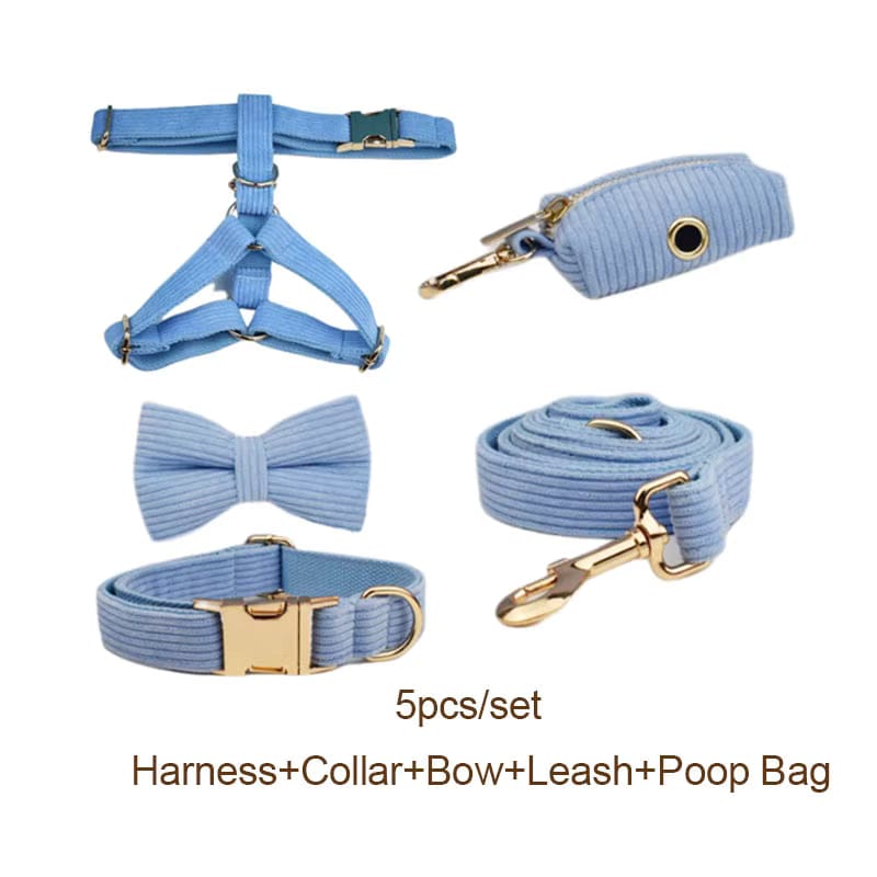 Blue corduroy harness set with collar, bow tie, leash, and waste bag pouch, gold hardware.
