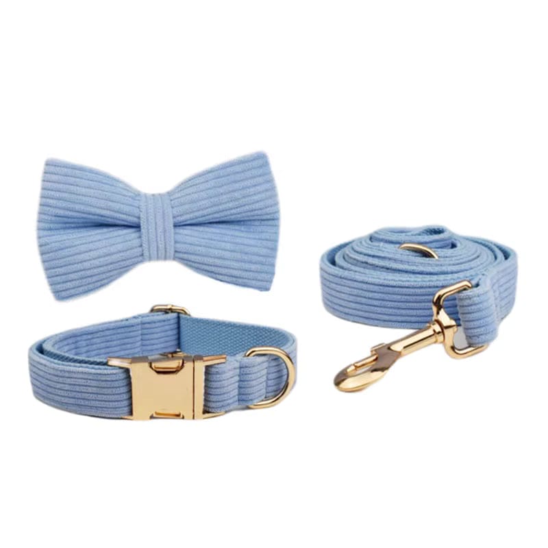 Blue corduroy bow tie with matching collar and leash pieces, gold hardware accents.