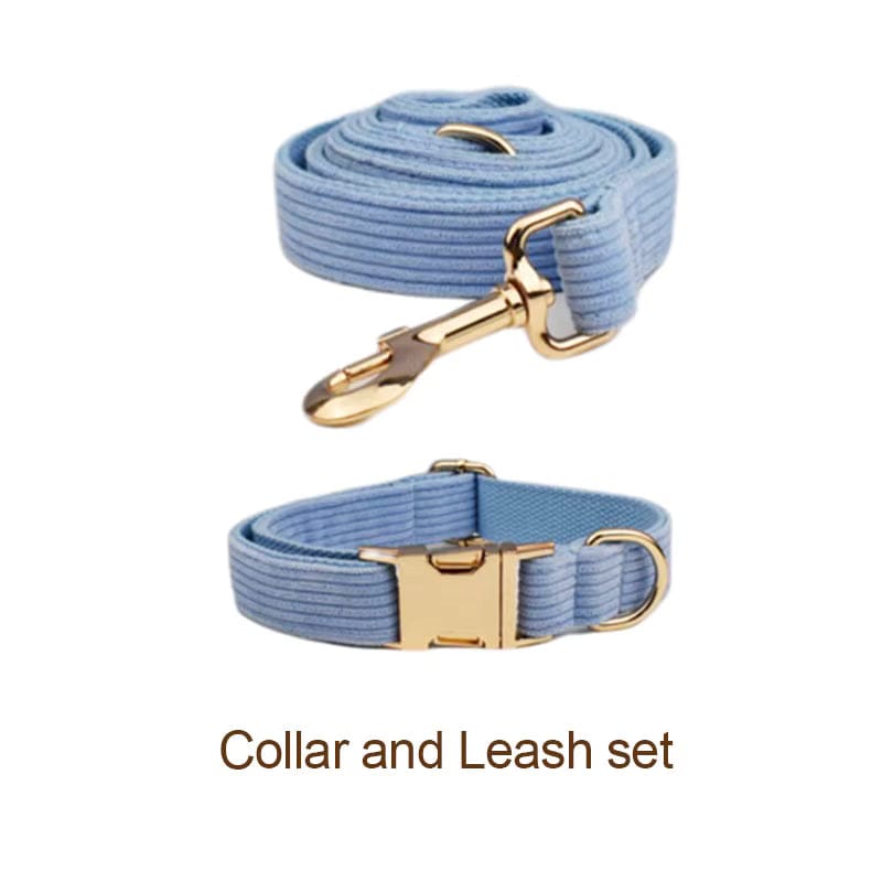 Blue corduroy collar and leash set with gold hardware on light-blue ribbed straps.