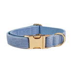 Blue corduroy pet collar with gold buckle and D-ring, light blue ribbed fabric.